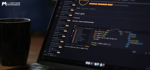 PM勇闯技术 SDK开发与预制菜式计算机软件开发